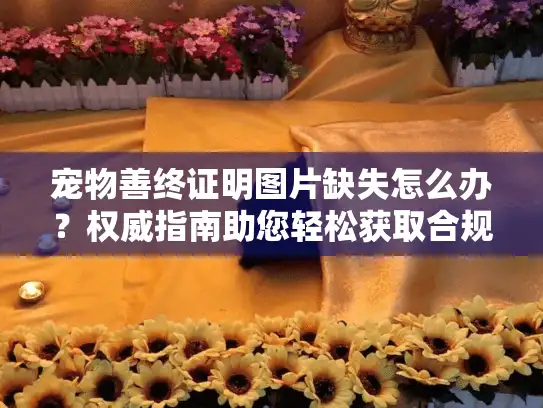 宠物善终证明图片缺失怎么办？权威指南助您轻松获取合规文件