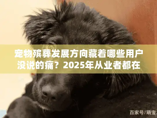 宠物殡葬发展方向藏着哪些用户没说的痛？2025年从业者都在盯这3条路