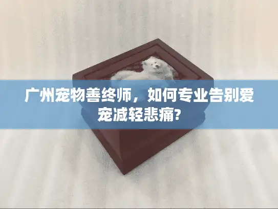 广州宠物善终师，如何专业告别爱宠减轻悲痛?