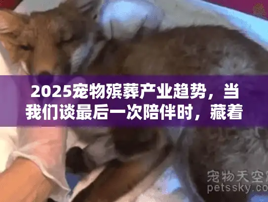 2025宠物殡葬产业趋势，当我们谈最后一次陪伴时，藏着哪些没说透的行业真相？