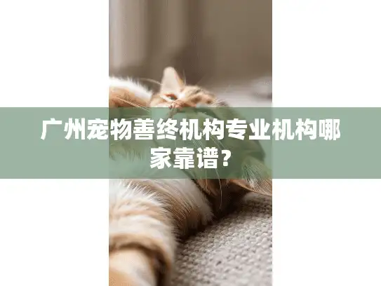 广州宠物善终机构专业机构哪家靠谱？