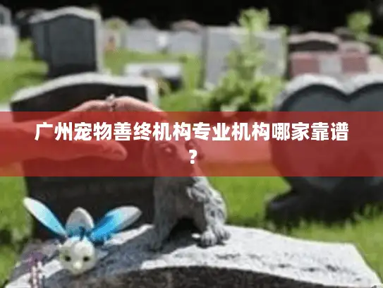 广州宠物善终机构专业机构哪家靠谱？