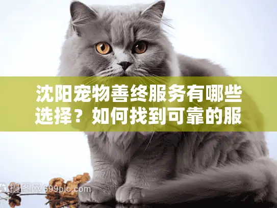 沈阳宠物善终服务有哪些选择？如何找到可靠的服务商？