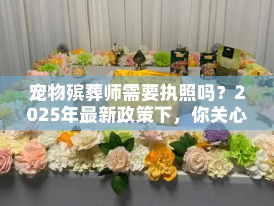 宠物殡葬师需要执照吗？2025年最新政策下，你关心的资质真相在这里