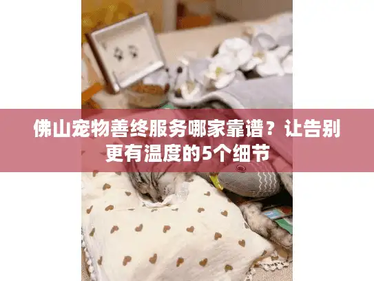 佛山宠物善终服务哪家靠谱？让告别更有温度的5个细节