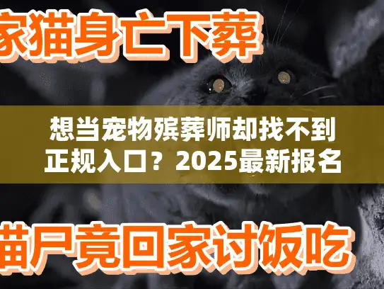 想当宠物殡葬师却找不到正规入口？2025最新报名官网及行业入门全解析