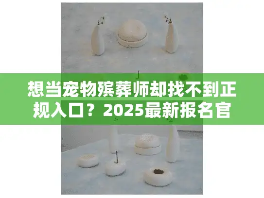 想当宠物殡葬师却找不到正规入口？2025最新报名官网及行业入门全解析