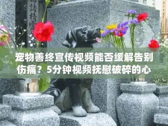 宠物善终宣传视频能否缓解告别伤痛？5分钟视频抚慰破碎的心