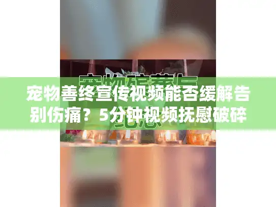 宠物善终宣传视频能否缓解告别伤痛？5分钟视频抚慰破碎的心