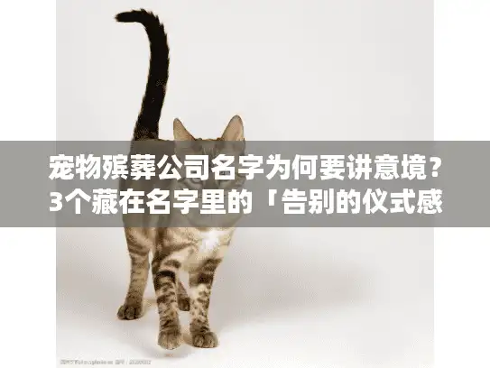 宠物殡葬公司名字为何要讲意境？3个藏在名字里的「告别的仪式感」你得知道