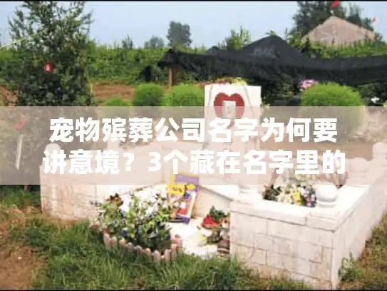 宠物殡葬公司名字为何要讲意境？3个藏在名字里的「告别的仪式感」你得知道