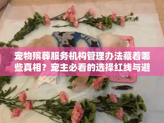 宠物殡葬服务机构管理办法藏着哪些真相？宠主必看的选择红线与避坑指南