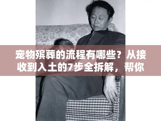 宠物殡葬的流程有哪些？从接收到入土的7步全拆解，帮你体面送它最后一程
