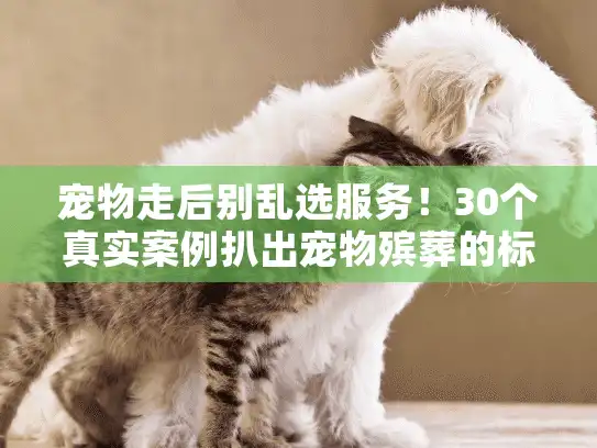 宠物走后别乱选服务！30个真实案例扒出宠物殡葬的标准流程和避坑点