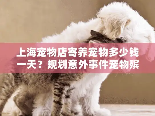 上海宠物店寄养宠物多少钱一天？规划意外事件宠物殡葬服务费用详情