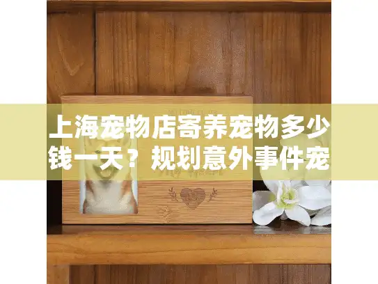 上海宠物店寄养宠物多少钱一天？规划意外事件宠物殡葬服务费用详情