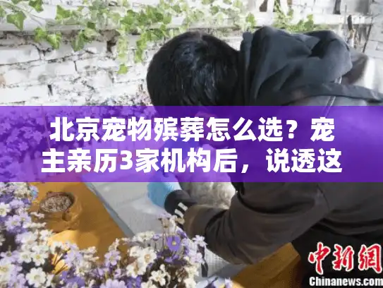北京宠物殡葬怎么选？宠主亲历3家机构后，说透这5个避坑要点