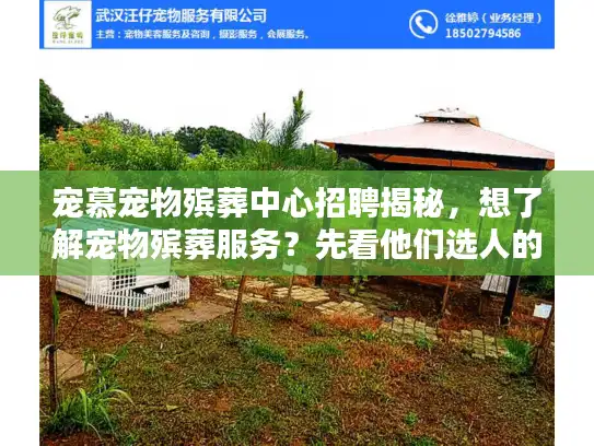 宠慕宠物殡葬中心招聘揭秘，想了解宠物殡葬服务？先看他们选人的3个隐藏标准