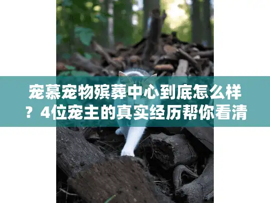 宠慕宠物殡葬中心到底怎么样？4位宠主的真实经历帮你看清答案