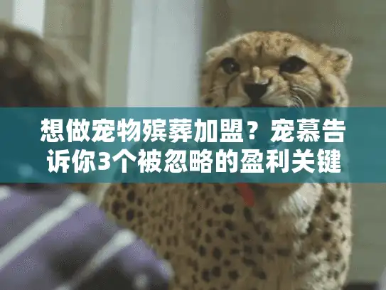 想做宠物殡葬加盟？宠慕告诉你3个被忽略的盈利关键和1个避坑铁则