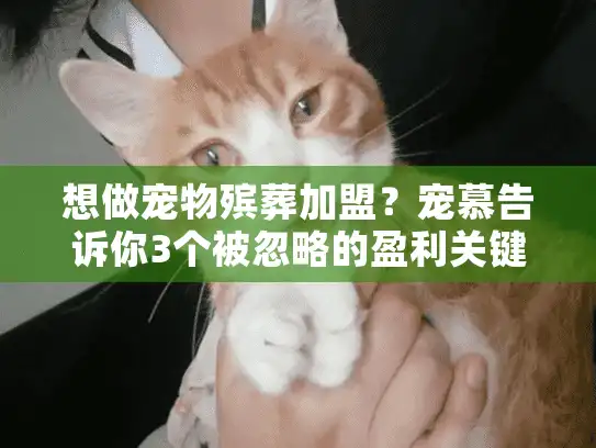 想做宠物殡葬加盟？宠慕告诉你3个被忽略的盈利关键和1个避坑铁则