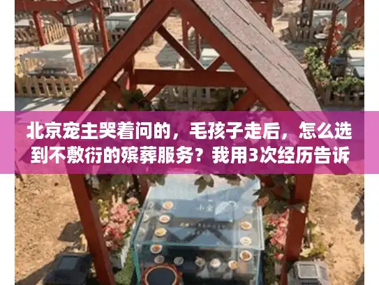 北京宠主哭着问的，毛孩子走后，怎么选到不敷衍的殡葬服务？我用3次经历告诉你