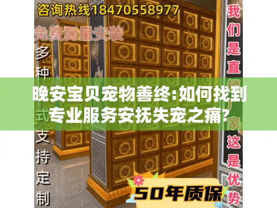 晚安宝贝宠物善终:如何找到专业服务安抚失宠之痛?
