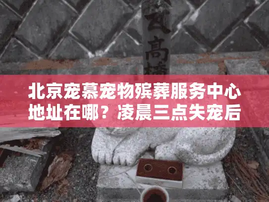 北京宠慕宠物殡葬服务中心地址在哪？凌晨三点失宠后我找到的最安心答案