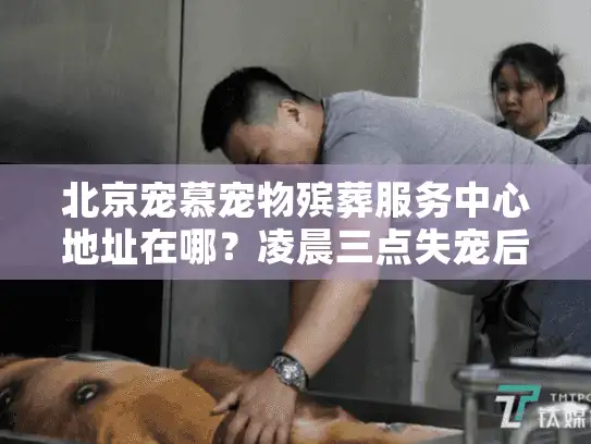 北京宠慕宠物殡葬服务中心地址在哪？凌晨三点失宠后我找到的最安心答案
