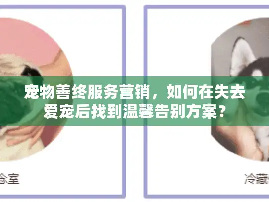 宠物善终服务营销，如何在失去爱宠后找到温馨告别方案？