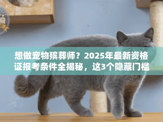 想做宠物殡葬师？2025年最新资格证报考条件全揭秘，这3个隐藏门槛90%的人不知道