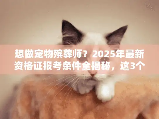 想做宠物殡葬师？2025年最新资格证报考条件全揭秘，这3个隐藏门槛90%的人不知道