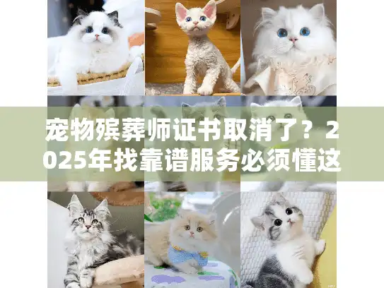宠物殡葬师证书取消了？2025年找靠谱服务必须懂这3个门道