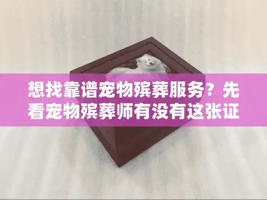 想找靠谱宠物殡葬服务？先看宠物殡葬师有没有这张证！