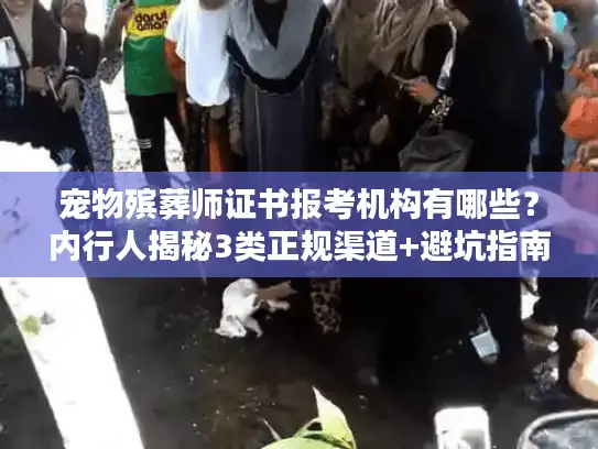 宠物殡葬师证书报考机构有哪些？内行人揭秘3类正规渠道+避坑指南