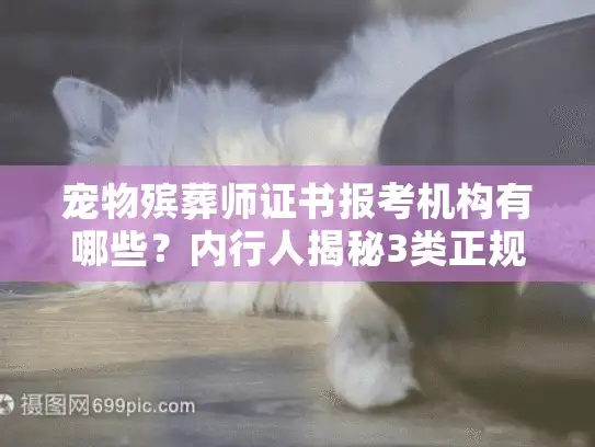宠物殡葬师证书报考机构有哪些？内行人揭秘3类正规渠道+避坑指南