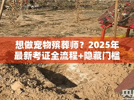 想做宠物殡葬师？2025年最新考证全流程+隐藏门槛我替你踩过坑了
