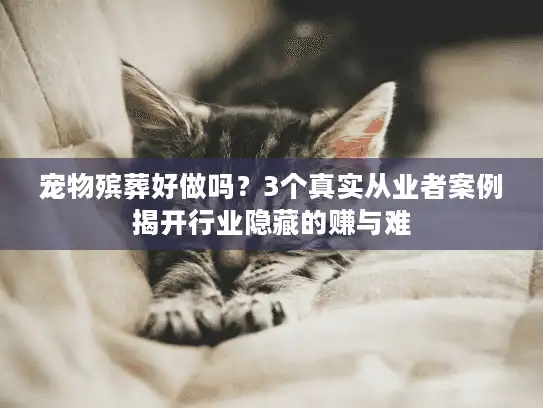 宠物殡葬好做吗？3个真实从业者案例揭开行业隐藏的赚与难