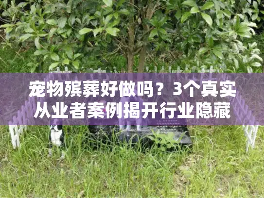 宠物殡葬好做吗？3个真实从业者案例揭开行业隐藏的赚与难