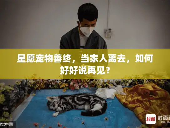 星愿宠物善终，当家人离去，如何好好说再见？