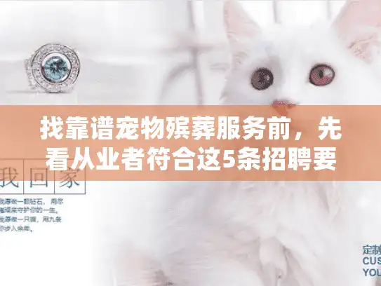 找靠谱宠物殡葬服务前，先看从业者符合这5条招聘要求吗？