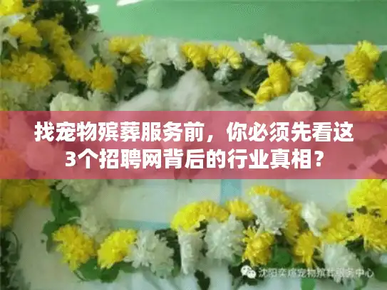 找宠物殡葬服务前，你必须先看这3个招聘网背后的行业真相？