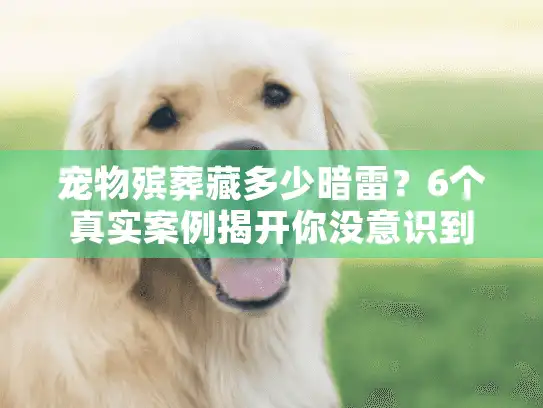 宠物殡葬藏多少暗雷？6个真实案例揭开你没意识到的风险