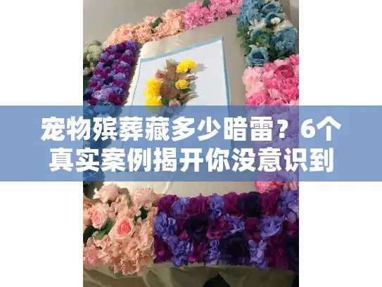 宠物殡葬藏多少暗雷？6个真实案例揭开你没意识到的风险