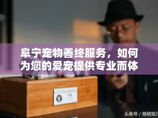 阜宁宠物善终服务，如何为您的爱宠提供专业而体面的告别？