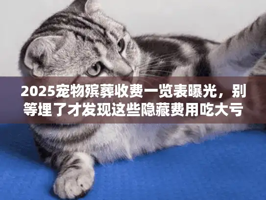 2025宠物殡葬收费一览表曝光，别等埋了才发现这些隐藏费用吃大亏！
