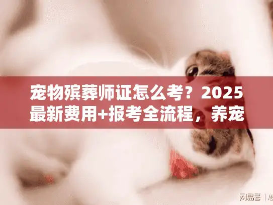 宠物殡葬师证怎么考？2025最新费用+报考全流程，养宠人/想入行必看