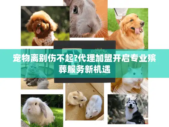 宠物离别伤不起?代理加盟开启专业殡葬服务新机遇