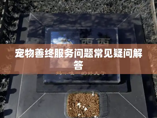 宠物善终服务问题常见疑问解答