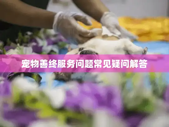宠物善终服务问题常见疑问解答